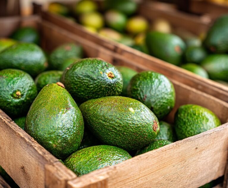 There are many variations of passages of Lorem Ipsum available, but majority have suffered teration in some form, by injected humour, or randomised words which don't look even slight believable. If you are going to use a passage of Lorem Ipsum.