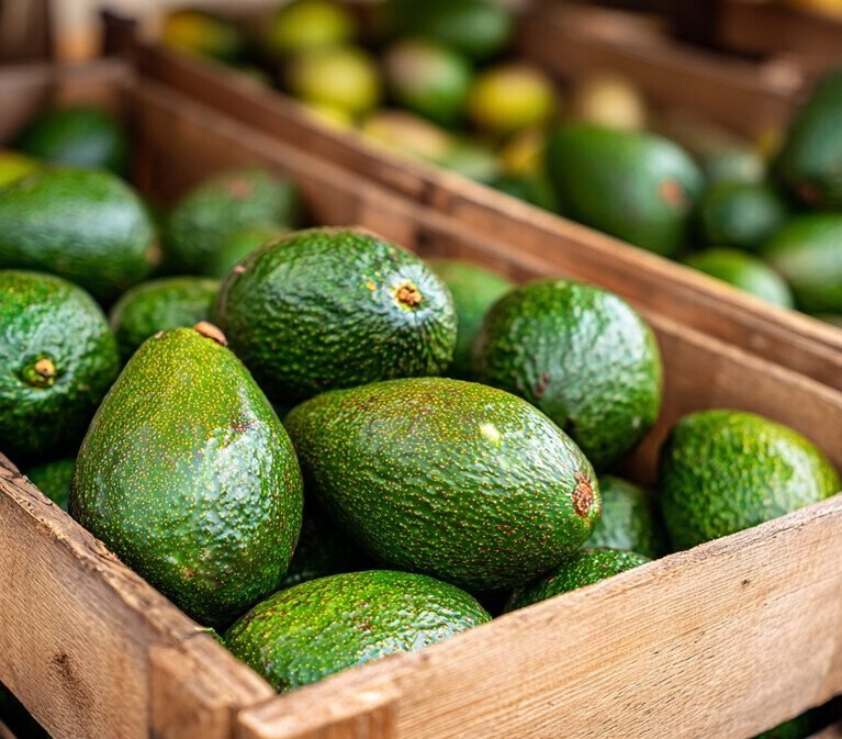 There are many variations of passages of Lorem Ipsum available, but majority have suffered teration in some form, by injected humour, or randomised words which don't look even slight believable. If you are going to use a passage of Lorem Ipsum.