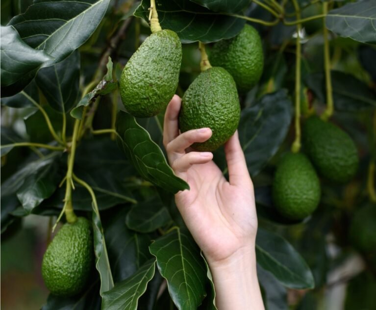 There are many variations of passages of Lorem Ipsum available, but majority have suffered teration in some form, by injected humour, or randomised words which don't look even slight believable. If you are going to use a passage of Lorem Ipsum.