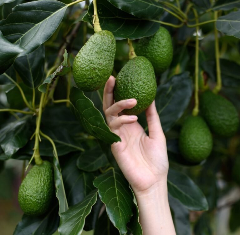 There are many variations of passages of Lorem Ipsum available, but majority have suffered teration in some form, by injected humour, or randomised words which don't look even slight believable. If you are going to use a passage of Lorem Ipsum.