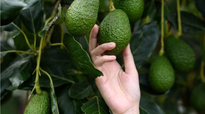 There are many variations of passages of Lorem Ipsum available, but majority have suffered teration in some form, by injected humour, or randomised words which don't look even slight believable. If you are going to use a passage of Lorem Ipsum.